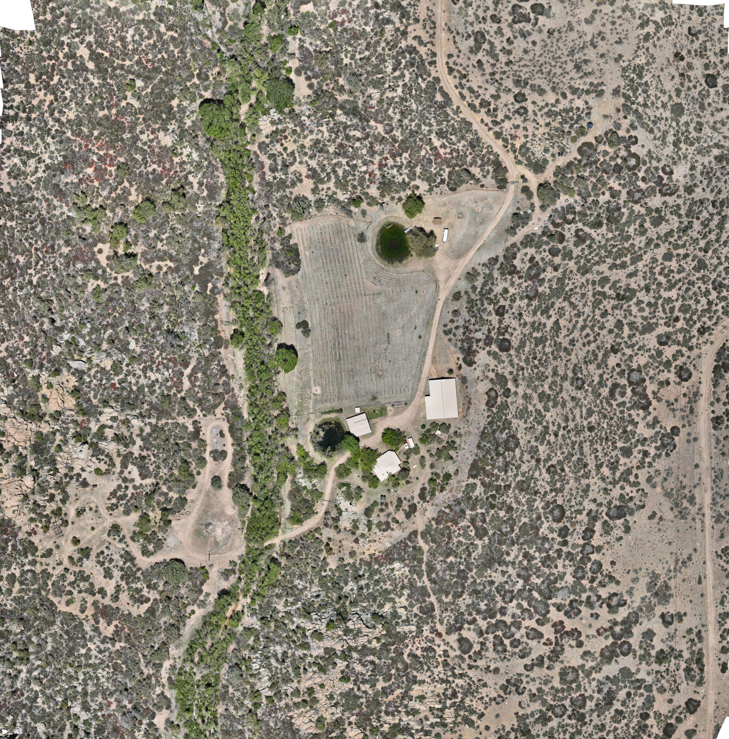 Before image